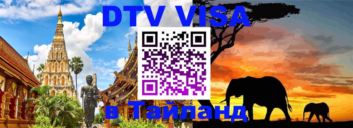 Оформление DTV визы под ключ: стоимость и тарифы, только загранпаспорт - 